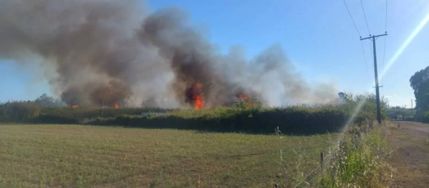 Συναγερμός στην Καλαμάτα - Μεγάλη πυρκαγιά απέναντι από το αεροδρόμιο (βίντεο)